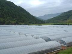 什么地方有賣新消霧膜 遼寧消霧膜